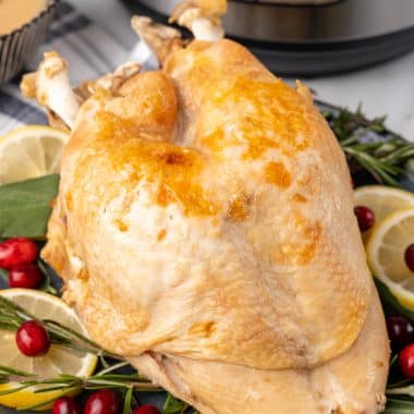 Instant Pot Turkey Breast