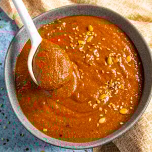 Pipian Rojo Recipe (Mexican Red Pipian Sauce)