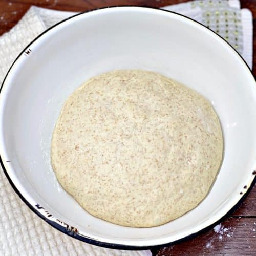 Authentic Italian Pizza Dough
