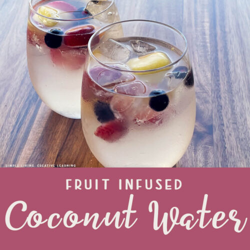 Fruit Infused Coconut Water