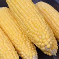 Delicious Instant Pot Corn on the Cob