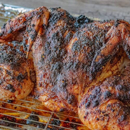 Birria Turkey