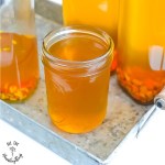 Anti-Inflammatory & Gut-Healing Ginger & Turmeric Kombucha