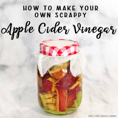 Make Scrappy Apple Cider Vinegar