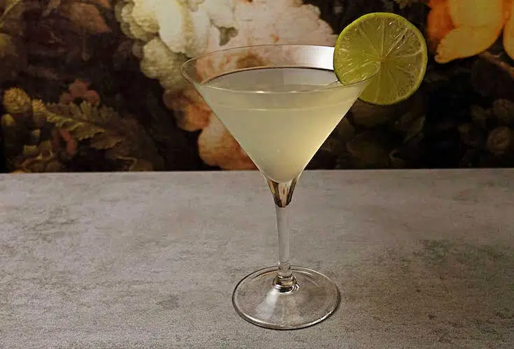 Peruvian Elder Sour