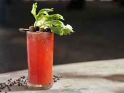 Horseradish Bloody Mary Recipe