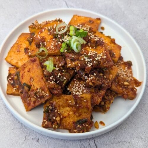 Spicy Braised Tofu (Dubu-Jorim)