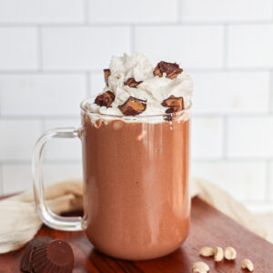 Chocolate Banana Peanut Butter Protein Shake