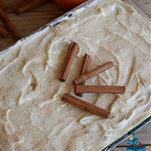 Apple Cinnamon Cake