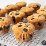 Blueberry Oat Muffins