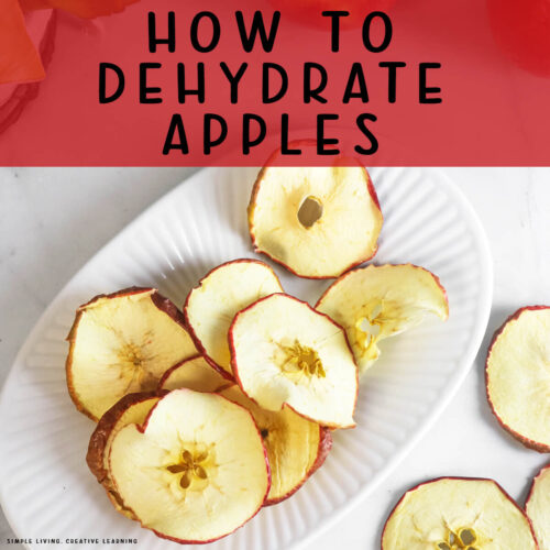 How to Dehydrate Apples