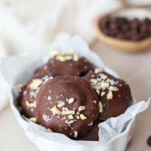 Chocolate Covered Yogurt Bites/Clusters