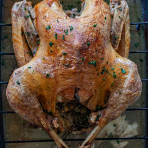 Latin Style Roasted Turkey