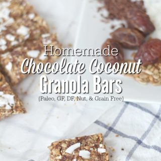 Homemade Granola Bars - Paleo, DF, GF, Grain, & Nut Free