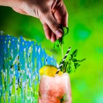 Orange Mint Julep