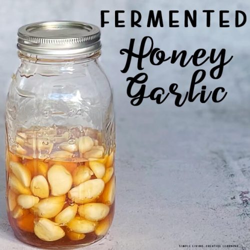 Fermented Honey Garlic