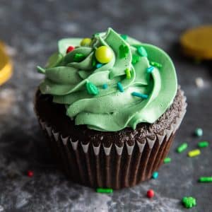Frosted Guinness Chocolate Cupcakes