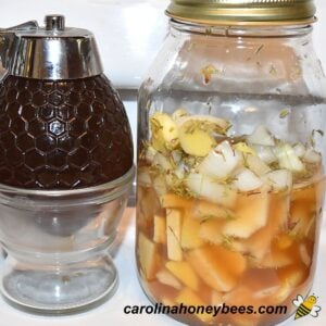 Fire Cider Recipe