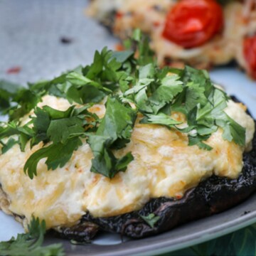 Habanero Cheese Mushroom With Cilantro