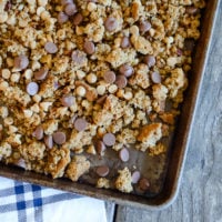 Peanut Butter Chocolate Chip Granola