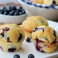 Quick and Easy One Bowl Blueberry Muffins
