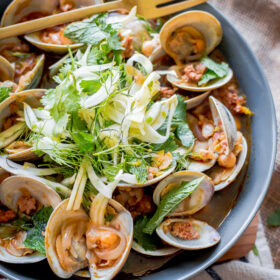 Beer Steamed Clams with Chorizo and Shaved Fennel Herb Salad