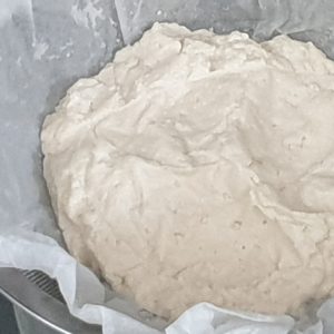 Homemade ricotta cheese