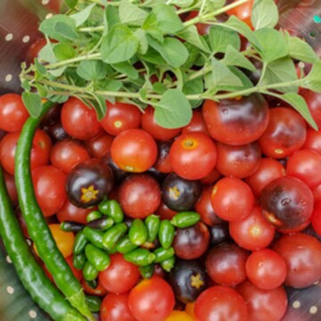 Homemade Cherry Tomato Sauce
