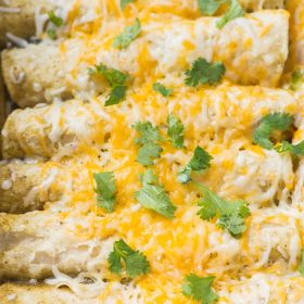 Easy Chicken Enchilada Recipe