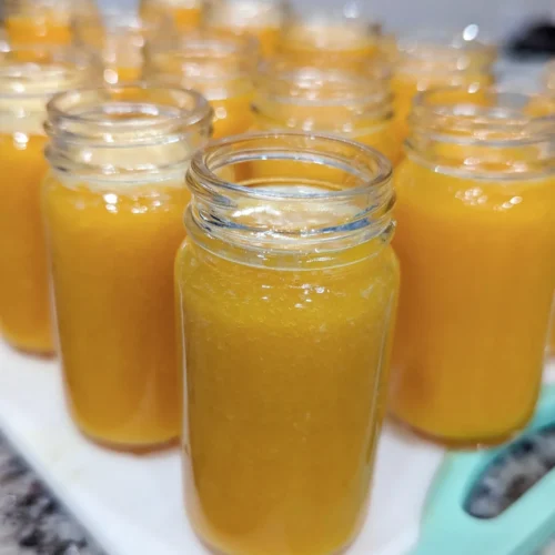 HEALTHY GUT SHOTS