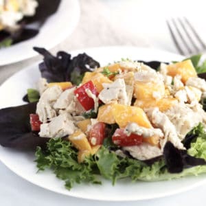 Chicken Salad with Mango