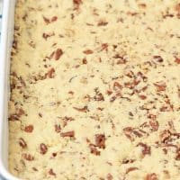 Pecan Nut Pie Crust