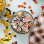 Fall Puppy Chow Snack Mix