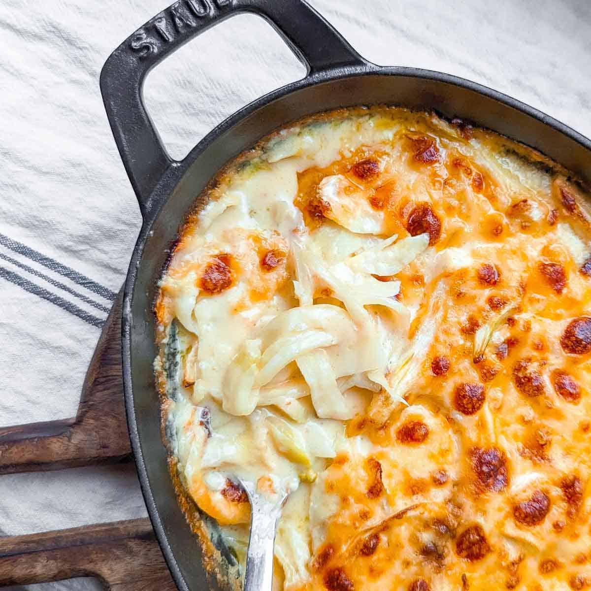 Creamy Fennel Gratin with Cheese Sauce
