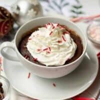 2 Minute Christmas Chocolate Mug Cake
