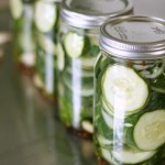 Homemade Claussen Like Refrigerator Pickles