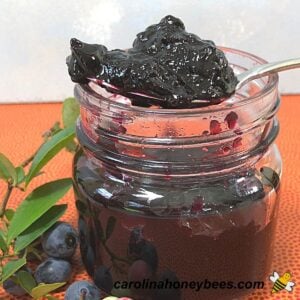 Homemade Blueberry Syrup with Honey Recipe