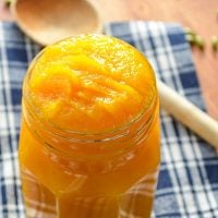 Instant Pot Pumpkin Puree