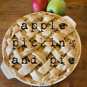 Meg’s Apple Pie