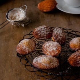 Gingerbread Madeleines