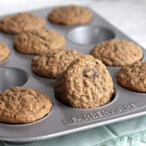 Gluten Free Applesauce Muffins with Raisins