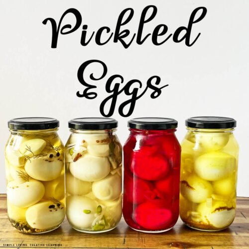 Homemade Pickled Eggs