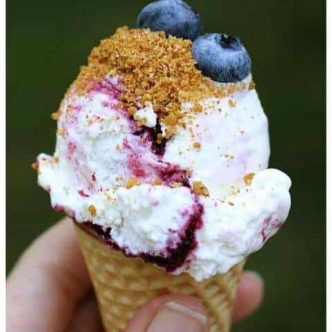 Blueberry Cheesecake Ice Cream & Graham Cracker Sprinkle