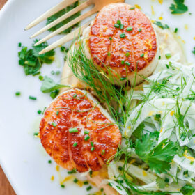 Seared Scallops with Hummus and Shaved Fennel Salad