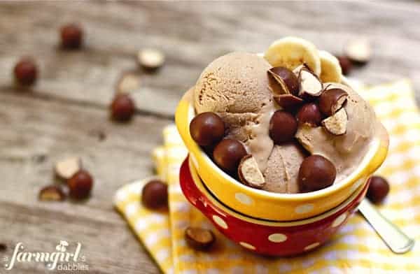 Chocolate Malt Banana Ice Cream