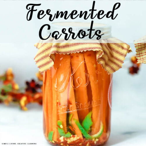 Homemade Fermented Carrots