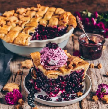 Best Blueberry Pie (vegan, easy recipe)