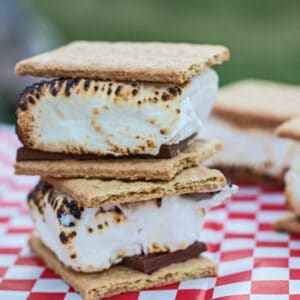 Campfire S'mores