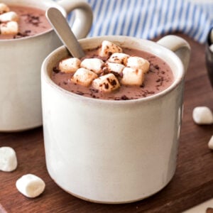 EASY Homemade Hot Cocoa Recipe