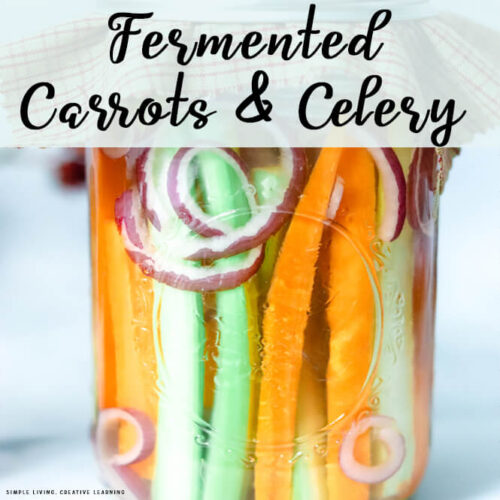 Fermented Carrots and Celery